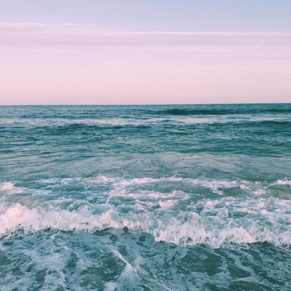 Meet your Posher, Rose